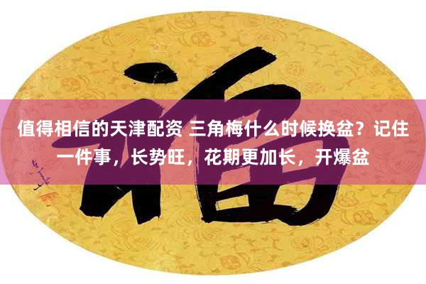 值得相信的天津配资 三角梅什么时候换盆？记住一件事，长势旺，花期更加长，开爆盆