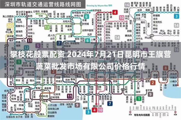 攀枝花股票配资 2024年7月21日昆明市王旗营蔬菜批发市场有限公司价格行情