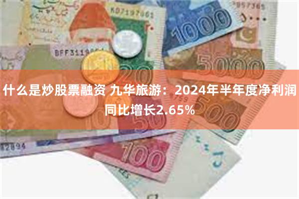 什么是炒股票融资 九华旅游：2024年半年度净利润同比增长2.65%