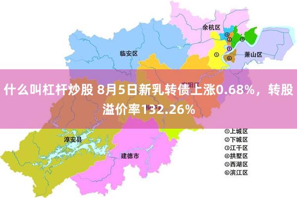 什么叫杠杆炒股 8月5日新乳转债上涨0.68%，转股溢价率132.26%