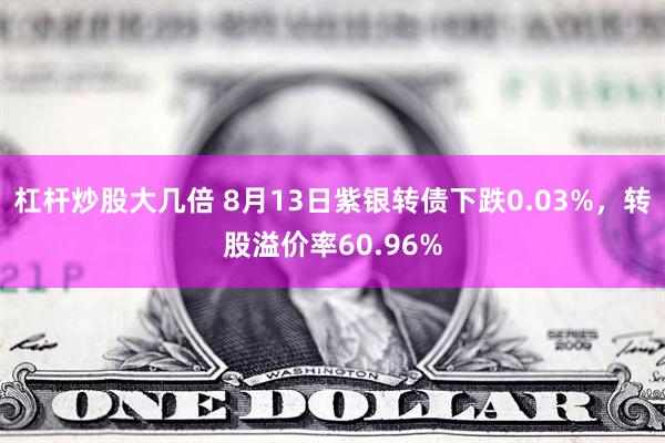 杠杆炒股大几倍 8月13日紫银转债下跌0.03%，转股溢价率60.96%