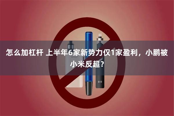 怎么加杠杆 上半年6家新势力仅1家盈利，小鹏被小米反超？