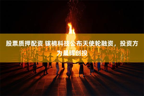 股票质押配资 镓楠科技公布天使轮融资，投资方为晨晖创投