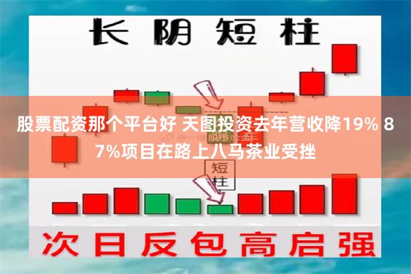 股票配资那个平台好 天图投资去年营收降19% 87%项目在路上八马茶业受挫