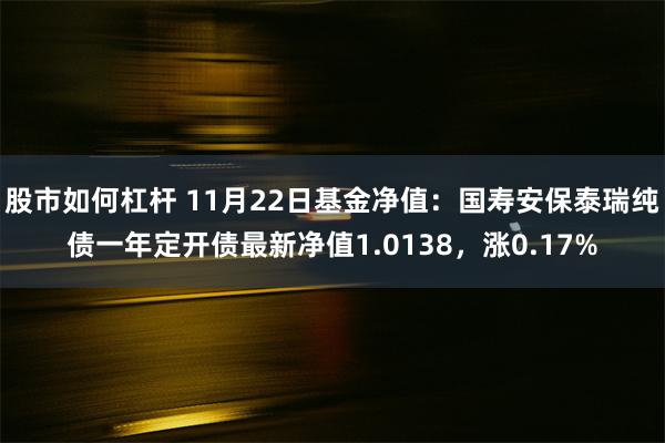 股市如何杠杆 11月22日基金净值：国寿安保泰瑞纯债一年定开债最新净值1.0138，涨0.17%