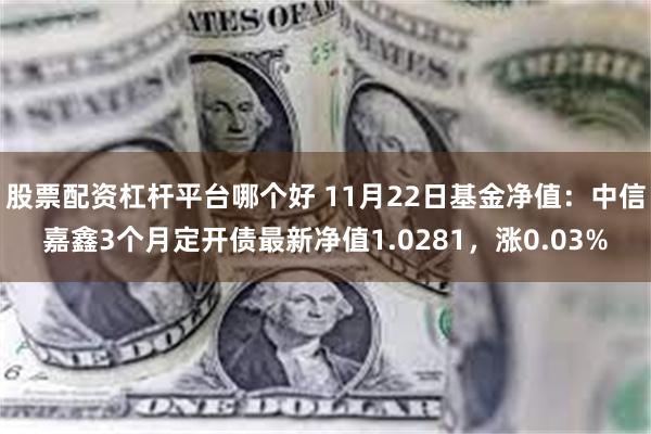 股票配资杠杆平台哪个好 11月22日基金净值：中信嘉鑫3个月定开债最新净值1.0281，涨0.03%