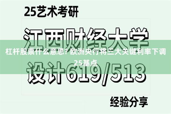 杠杆股票什么意思? 欧洲央行将三大关键利率下调25基点