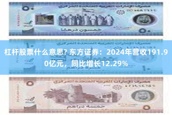 杠杆股票什么意思? 东方证券：2024年营收191.90亿元，同比增长12.29%