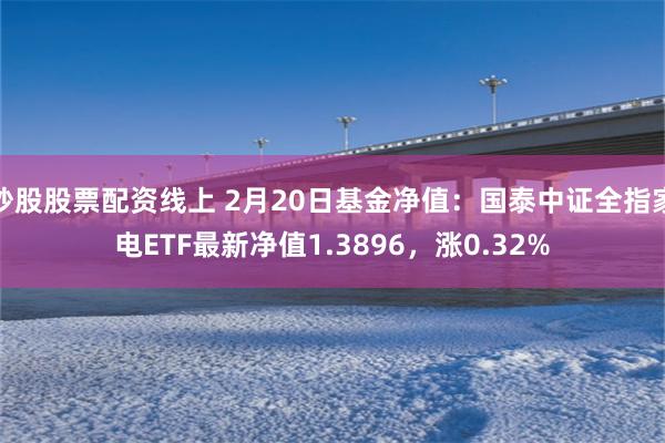 炒股股票配资线上 2月20日基金净值：国泰中证全指家电ETF最新净值1.3896，涨0.32%