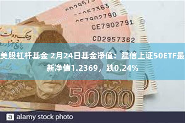 美股杠杆基金 2月24日基金净值：建信上证50ETF最新净值1.2369，跌0.24%