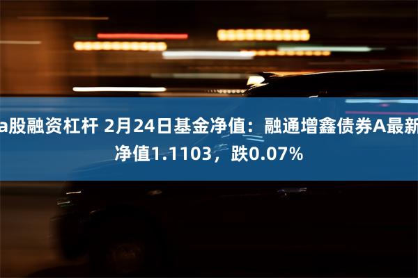 a股融资杠杆 2月24日基金净值：融通增鑫债券A最新净值1.1103，跌0.07%